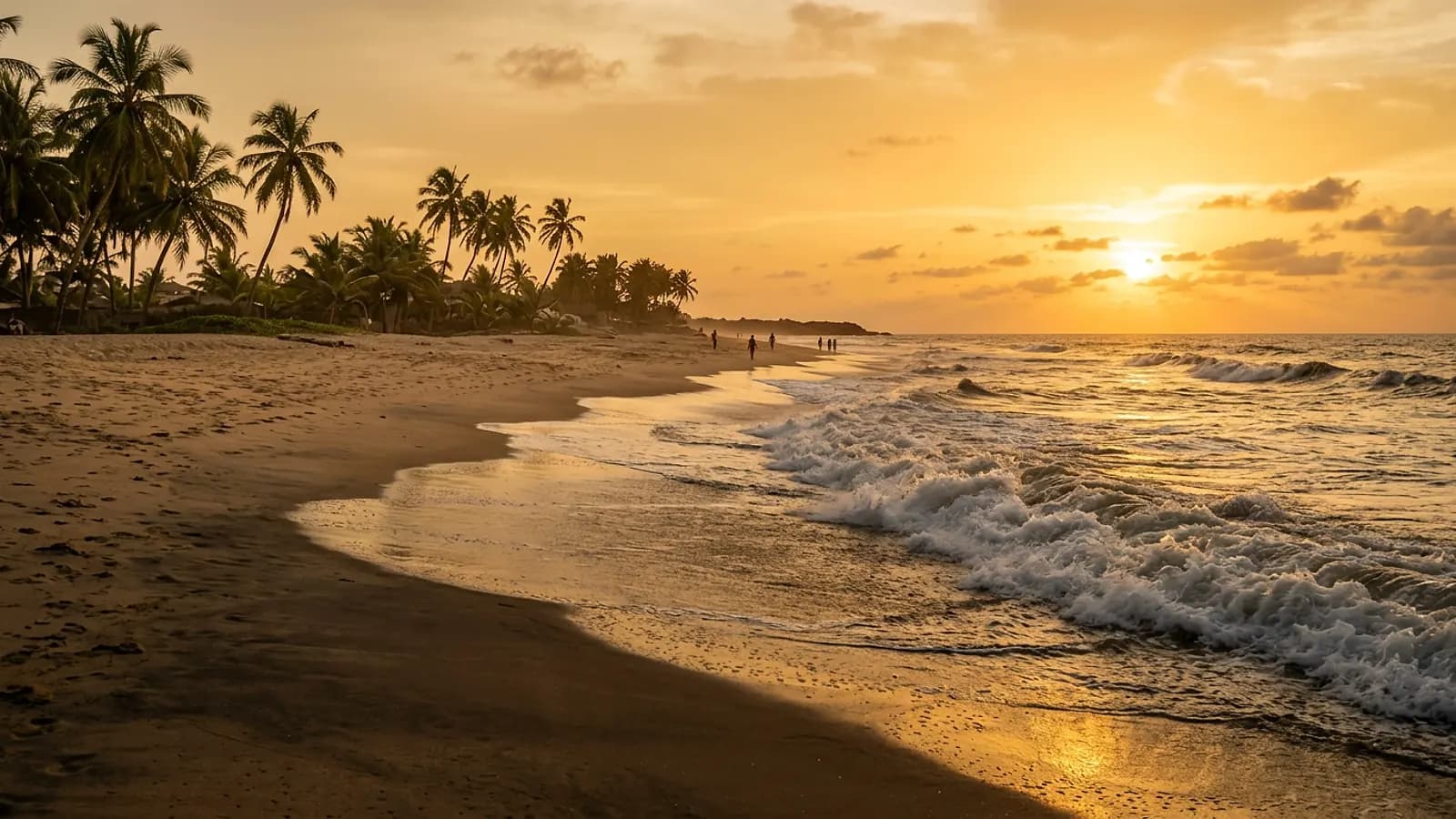 Plage de sable avec cocotiers et vagues de l'Atlantique au coucher du soleil